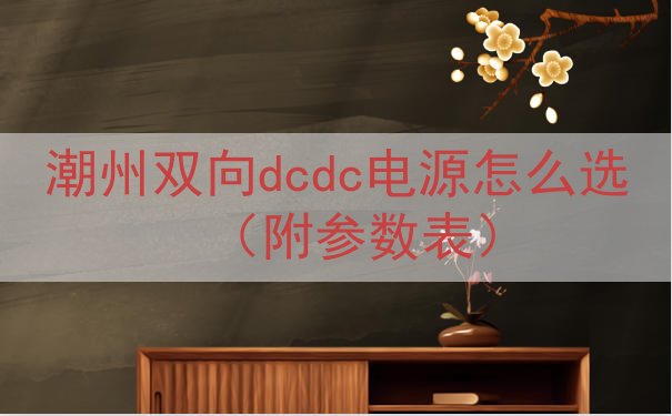 潮州双向dcdc电源怎么选（附参数表）